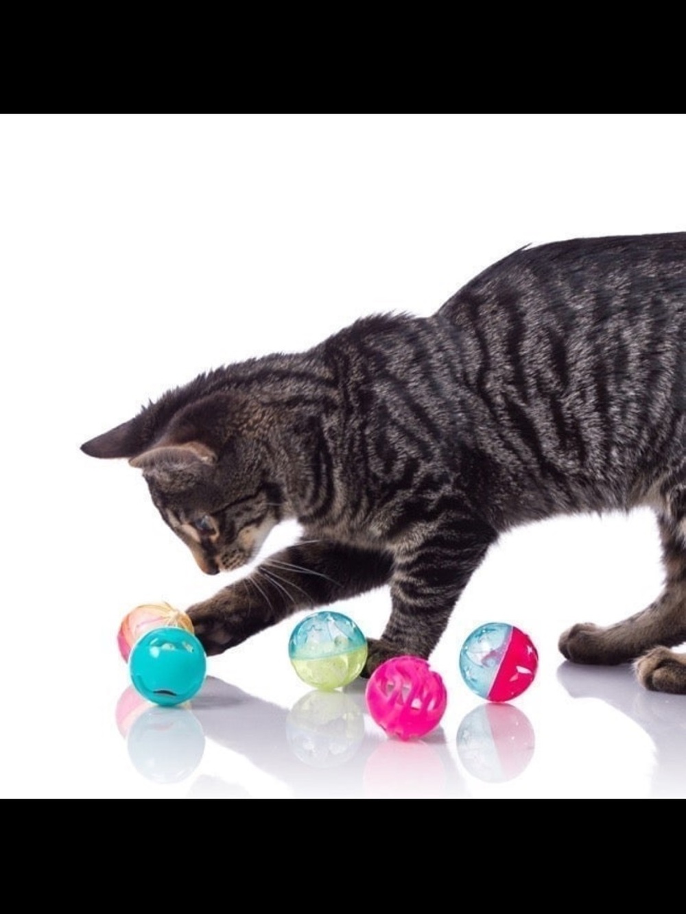 Cat Interactive Play Balls - Assorted Colors